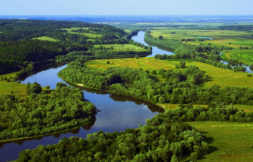 Шматочок національного природного парку “Подесіння” в Менському районі